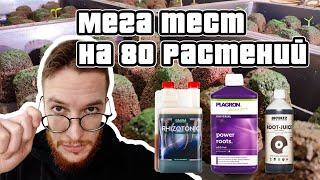 Будни Гровера #1: лучший корнеобразователь для перца #canna #biobizz или #plagron