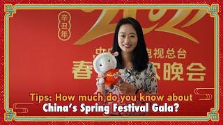 How much do you know about China’s Spring Festival Gala?