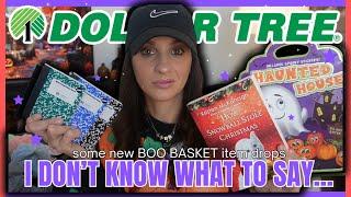 DT WEEK DAY 2 *DOLLAR TREE HAUL* I don't KNOW what they were thinking with this one...