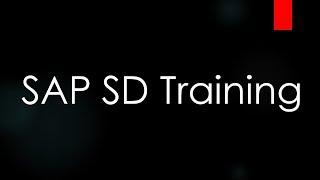 SAP SD Training - Special Business Transactions (Video 35) | SAP SD