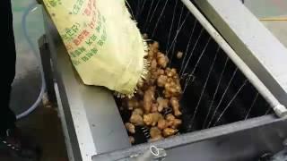 신농 세척기 테스트