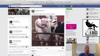 Basic Walkthrough of the Facebook Platform - LIKE A Boss Facebook Training