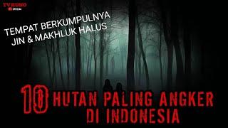 MERINDING ‼️ 10 HUTAN PALING ANGKER DI INDONESIA