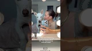 Loving Selena’s new song #dogshorts #doglover #pets #puppy #dog #dogmom #dogowner #selenagomez