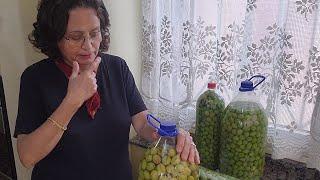 Çizme Yeşil Zeytin Tadlandırma ve Kurulumu. Sıkılmadan İzleyin. İstediğini Sor ve Bana Güven Lütfen