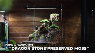 Membuat paludarium simple dengan "Dragon stone & Bonsai moss preserved" - Wajib kalian coba