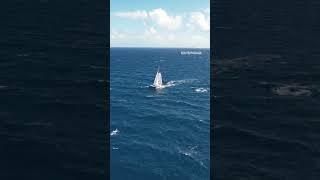 Our spaceshipin her element  #sail #drone #adventuretravel #sailboat #ocean