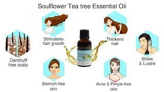 How to use  Tea Tree Essential Oil to reduce acne, dandruff| Natural oils