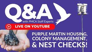 PMCA LIve Q&A #1 (archived)