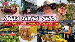 EM BREVE INICIAREMOS A HORTA !!!