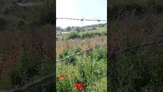 27 Mayıs 2025