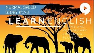 Deep English - Elephant Whisperer (normal speed)