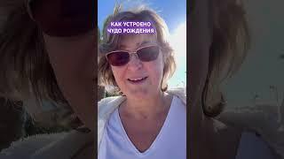 Как устроено чудо рождения #психология #предназначение #осознанность #любовь #чудорождения #человек