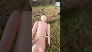 Warum Hühner eine aufblasbare Puppe brauchen #landwirtschaft #hühner #gutzuwissen #aufblasbar