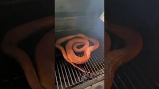 Can you smoke a python?? Catch and Cook!!