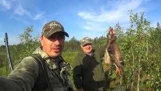 ОТКРЫТИЕ ОХОТЫ НА УТКУ В ПОДМОСКОВЬЕ 2022 день 1 OPENING OF DUCK HUNTING IN THE MOSCOW REGION 2022