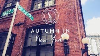 Wallis in NYC | Autumn in New York