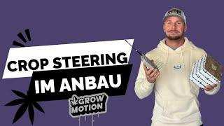 Crop Steering - Cannabis Wachstum steigern | professioneller Anbau | Homegrow Tipps