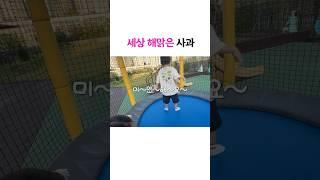 세상 해맑은 사과