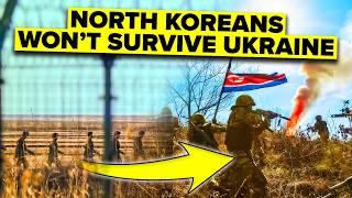 North Koreans Find Fighting Ukraine is Worse Than Kim's Labor Camps