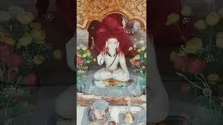 Dhan dhan baba Shri chandra ji maharaj Nathupur 🫶🫶