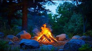 Twilight Campfire in the Woods  Cozy Flames & Soothing Nature Sounds