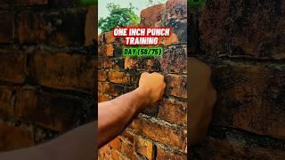 One inch punch training, day 58/75  #martialarts #kungfu #shorts