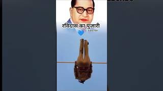 रविदास का पुजारी #Shorts #Viral #Jatav #Jaybhim #ChamarShorts #haryanvisong #dj #haryanvi #song