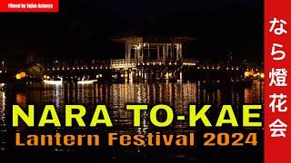 Nara Tokae Lantern Festival 2024 || A magical Nights