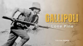 Lone Pine I Gallipoli