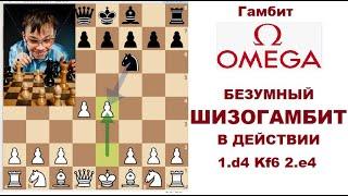 Безумный ШИЗОГАМБИТ в действии! Гамбит Омега vs игрока 2300+.