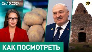 Что Лукашенко НЕ СКАЗАЛ западным СМИ на саммите БРИКС/ Политика и картошка/ Белорусские пирамиды