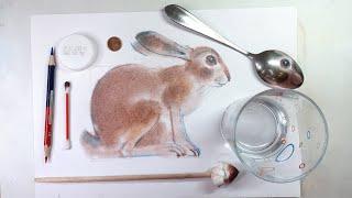 Заяц столовой ложки,  простое рисование. Drawing a hare using a tablespoon.