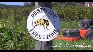 EcoBeneficial Interview: Going Pesticide-Free for Pollinators at The Farm Between