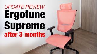 Ergotune Supreme after 3 months (update review)