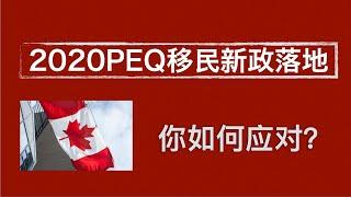 加拿大魁北克省PEQ移民新政落地！工作类需二年，留学类需18个月全职工作经验！你如何应对？新政详情见视频简介 #PEQ #新政 #移民