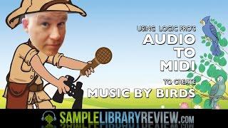 How To : Convert Audio To Midi in Logic Pro • Music by Birds