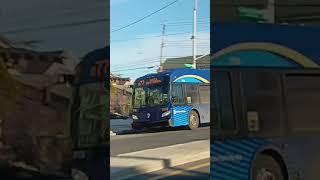MTA: Q77 Bus Jamaica 165 St Terminal (2019 New Flyer XD40 Xcelsior 7778) - 2/14/2025