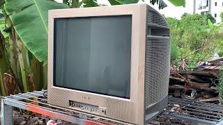 Restoration SONY Trinitron "KV - TG21M80/N" TV That Was Severely Damaged Beyond Repair