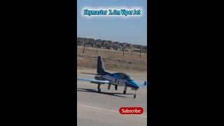 Skymaster Viper Jet  #aviation #rchobby #rcplane #skymaster
