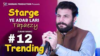 Starge Ye Adab Lari | Zubair Nawaz | Pashto New Song 2024 | Tag Me Da Bazano Dy | Tappaezy