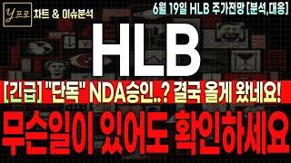 [HLB 주가전망] "장마감긴급" NDA승인..? 결국 올게 왔습니다! 무슨일이 있어도 반드시 시청하시길 바랍니다. 전부 다 말씀드릴게요 주주 필수시청 요망!