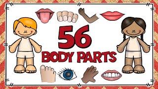 PARTES DEL CUERPO EN INGLÉS | BODY PARTS | PARTS OF THE BODY