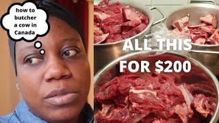 COST OF FEEDING IN CANADA | WE BUTCHERED A COW | HOW MUCH I SPEND ON LIVESTOCK #lifeincanada