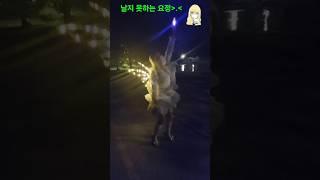 말 안듣는!! 밤의 요정 (무보정 리얼 촬영 6탄) 날고 싶지만?! #날개 #산책 #fairy