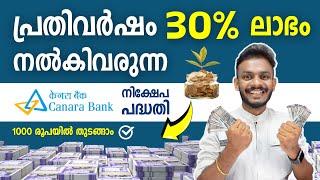 Canara Robeco Small Cap Fund Review: 30% Returns! Is It Worth the Investment?