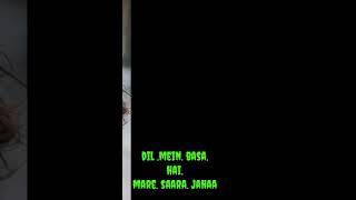 ....Jinda hai ye Dil.... Mera ful WhatsApp status ....satyam editing ...