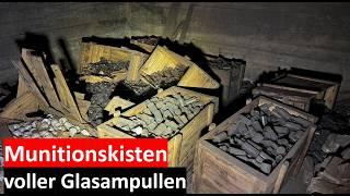 Etliche Munitionskisten voller Glassampullen in Weltkriegsbunker gefunden – Mysteriöser Fund!