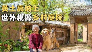 在黄土高坡上，老奶奶打造出美丽乡村院落，美得像世外桃源啊【小白的奇幻旅行】