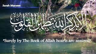 Activate your Mindful Heart & Rise Your Awareness | Ponder over The Healing Quran and Act Upon It